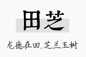 田芝名字的寓意及含义