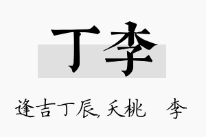 丁李名字的寓意及含义