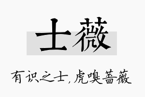 士薇名字的寓意及含义