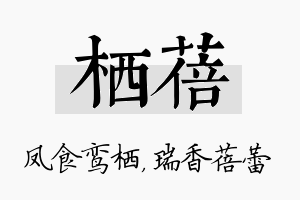 栖蓓名字的寓意及含义