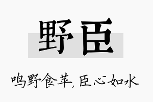 野臣名字的寓意及含义