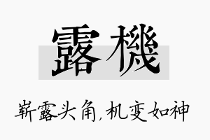 露机名字的寓意及含义