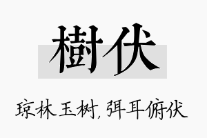 树伏名字的寓意及含义