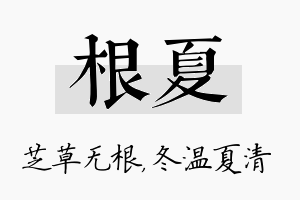 根夏名字的寓意及含义