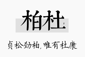 柏杜名字的寓意及含义