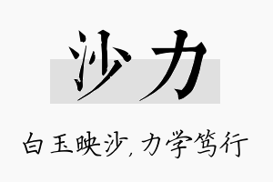 沙力名字的寓意及含义