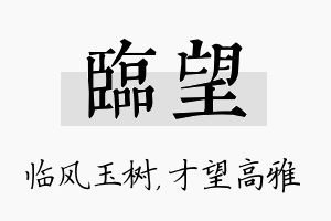 临望名字的寓意及含义