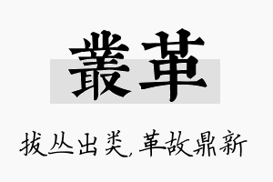 丛革名字的寓意及含义