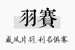 羽赛名字的寓意及含义