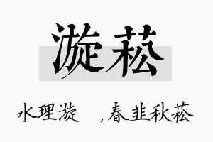 漩菘名字的寓意及含义