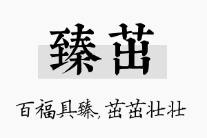 臻茁名字的寓意及含义