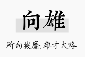 向雄名字的寓意及含义