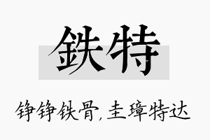 铁特名字的寓意及含义