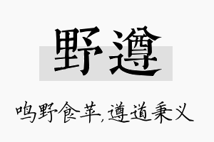 野遵名字的寓意及含义