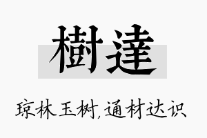 树达名字的寓意及含义