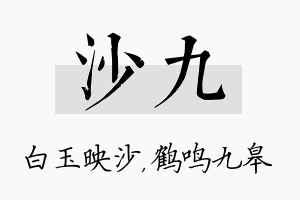 沙九名字的寓意及含义