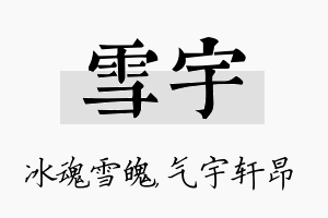 雪宇名字的寓意及含义