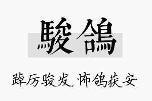 骏鸽名字的寓意及含义