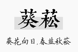 葵菘名字的寓意及含义