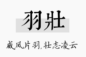 羽壮名字的寓意及含义