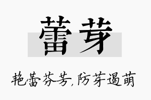 蕾芽名字的寓意及含义