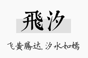 飞汐名字的寓意及含义