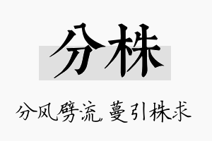 分株名字的寓意及含义