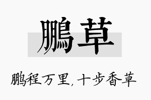 鹏草名字的寓意及含义