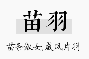 苗羽名字的寓意及含义