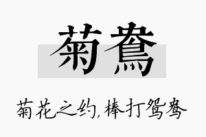 菊鸯名字的寓意及含义