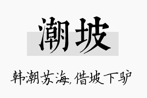 潮坡名字的寓意及含义