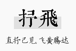 抒飞名字的寓意及含义