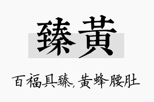 臻黄名字的寓意及含义