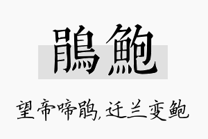 鹃鲍名字的寓意及含义