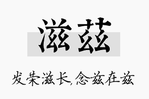 滋兹名字的寓意及含义