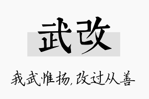 武改名字的寓意及含义