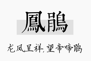 凤鹃名字的寓意及含义