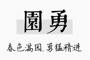 园勇名字的寓意及含义