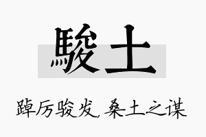 骏土名字的寓意及含义