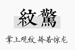 纹惊名字的寓意及含义