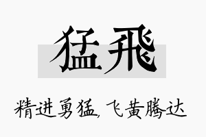 猛飞名字的寓意及含义