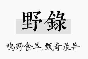 野录名字的寓意及含义