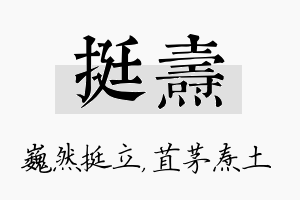 挺焘名字的寓意及含义