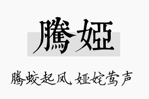 腾娅名字的寓意及含义