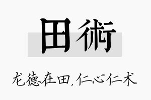 田术名字的寓意及含义