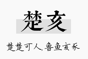 楚亥名字的寓意及含义