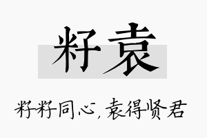 籽袁名字的寓意及含义