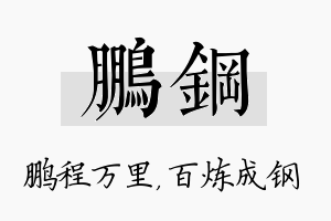 鹏钢名字的寓意及含义