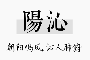 阳沁名字的寓意及含义