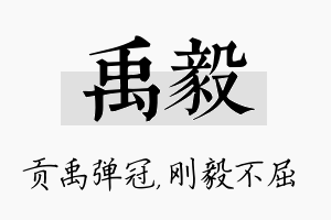 禹毅名字的寓意及含义